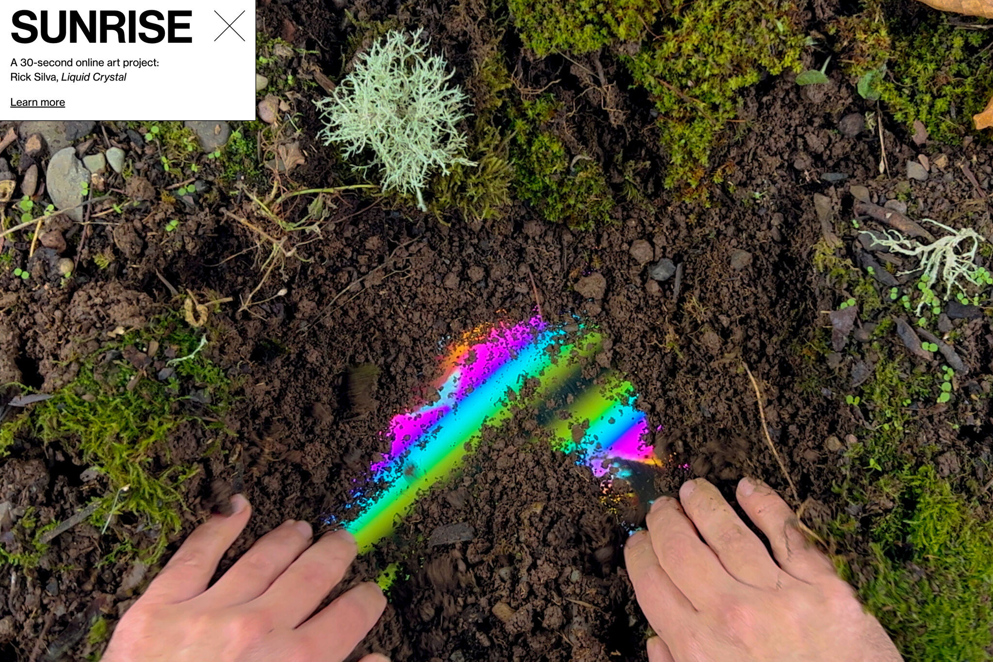 Two hands dig through dirt and moss with the bright glow of a screen filled with color poking through.