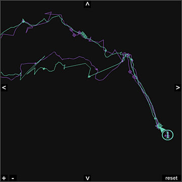 Cyan and purple GPS tracks over a black background.