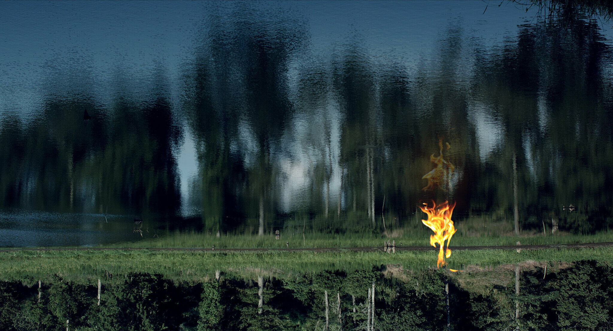 Hazy view of trees and a small flame along lakeshore 