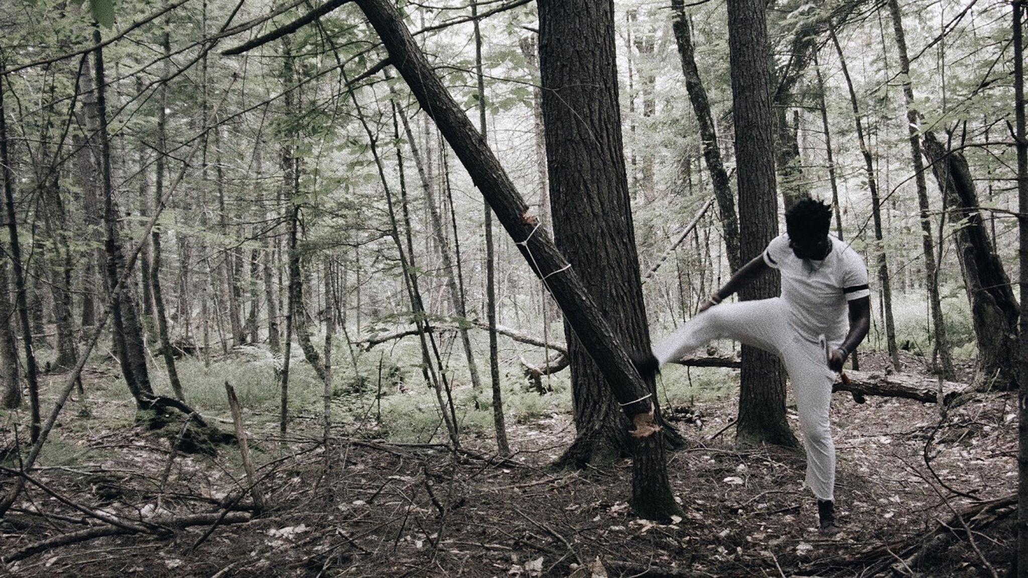 A video still of a person dressed in white in a forest kicking down a tree.