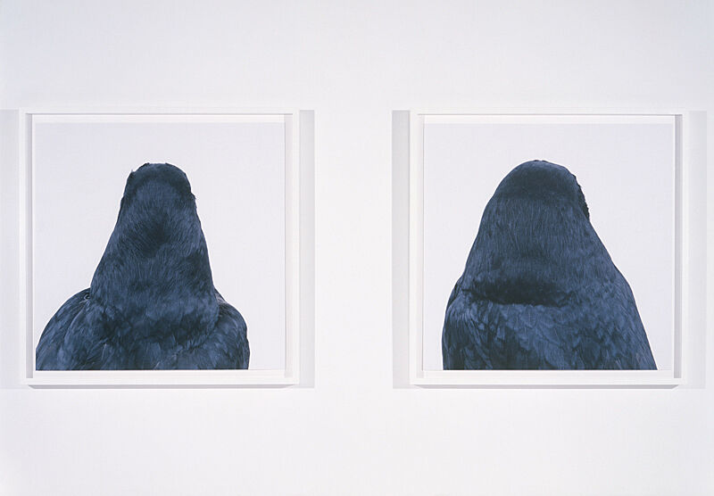 Two artworks of dark silhouettes.