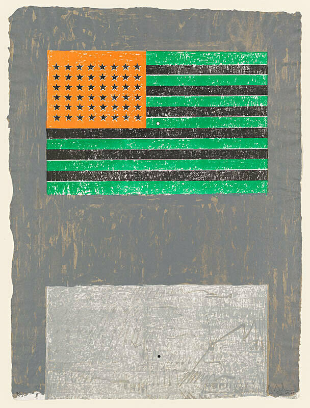 A painting by Jasper Johns. An American flag whose colors are inverted, green for red, orange for blue, and black for white.