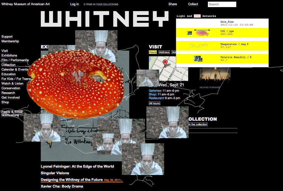 A red mushroom and its mycelium spread out across whitney.org.